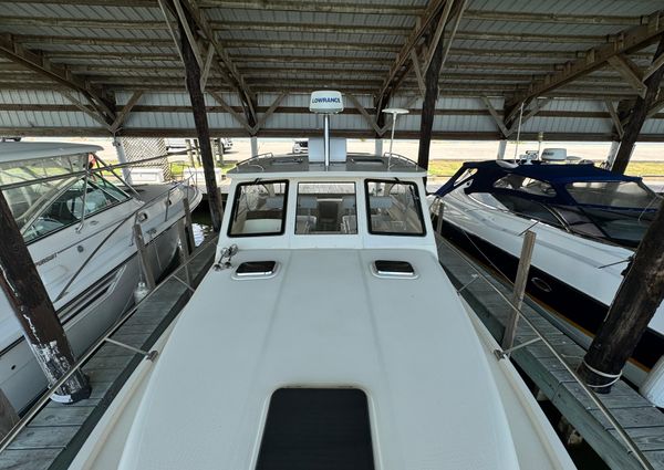 Mainship Pilot 34 image