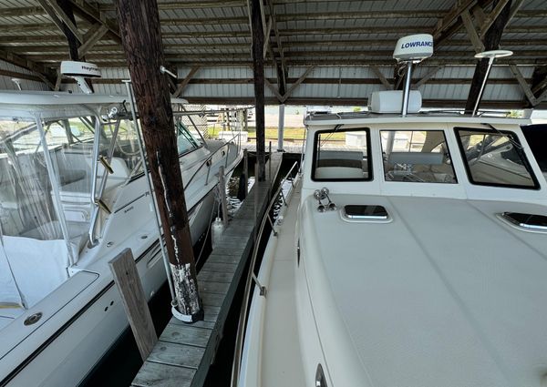 Mainship Pilot 34 image