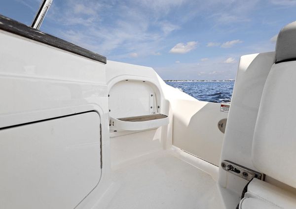 Sea Ray 290 SDX OUTBOARD image