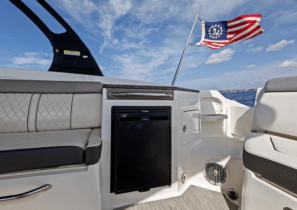 Sea Ray 290 SDX OUTBOARD image