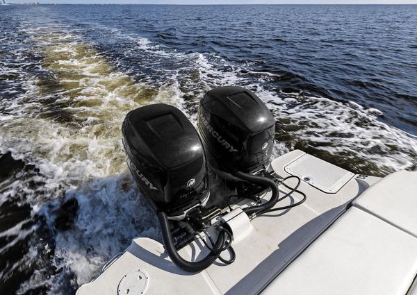 Sea Ray 290 SDX OUTBOARD image