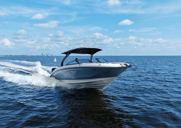 Sea Ray 290 SDX OUTBOARD image