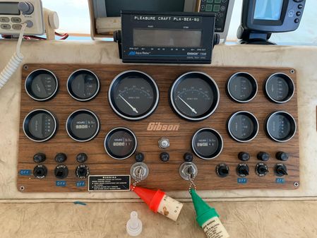 Gibson HOUSEBOAT image