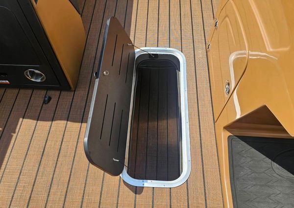 Bentley-pontoons ELITE-223-SWINGBACK image