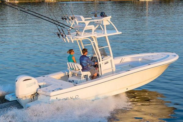 Robalo 246 Cayman SD - main image