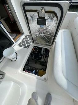 Sea Ray 440 Sedan Bridge image