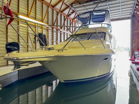 Bayliner 3488 Avanti image