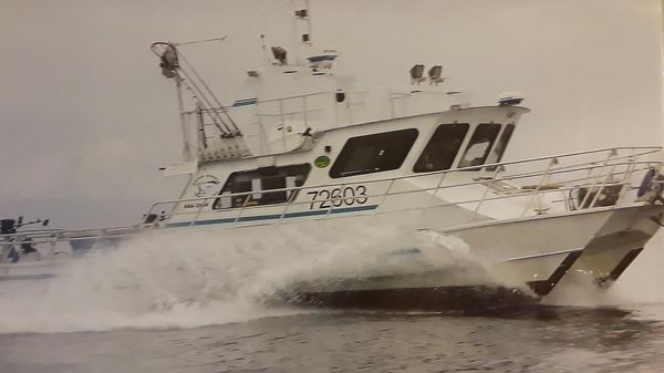 Stapleton Catamaran, Charter Package