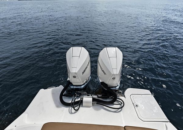 Sea Ray 290 SDX OUTBOARD image