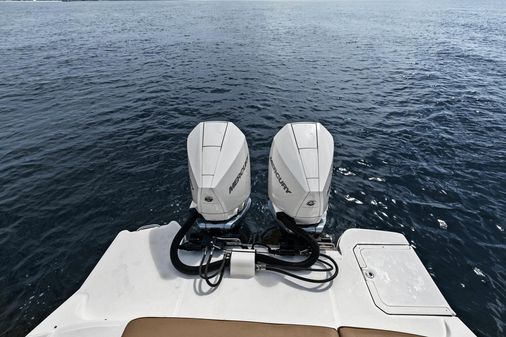 Sea Ray 290 SDX OUTBOARD image