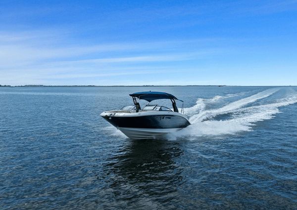 Sea Ray 290 SDX OUTBOARD image