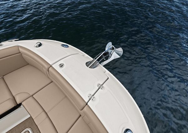 Sea Ray 290 SDX OUTBOARD image