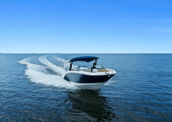 Sea Ray 290 SDX OUTBOARD image