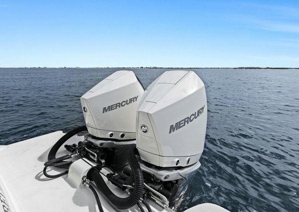 Sea Ray 290 SDX OUTBOARD image