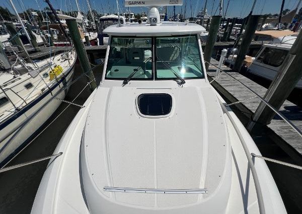 Boston-whaler 315-CONQUEST image