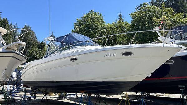 Sea Ray 290 Amberjack 