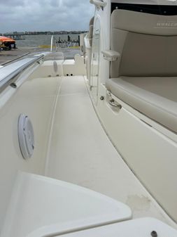 Boston Whaler 270 Dauntless image