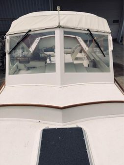 Dyer 29 image