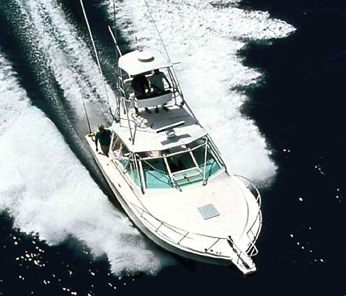 Cabo 31-EXPRESS image