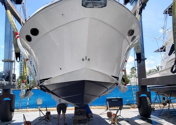 Sea Ray 340 Amberjack image