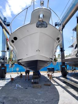 Sea Ray 340 Amberjack image