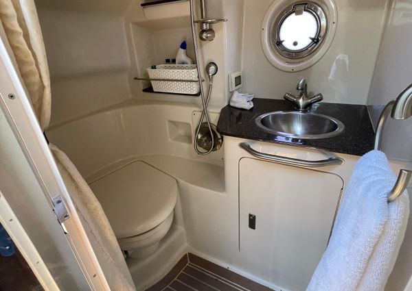 Sea Ray 350 Sundancer image