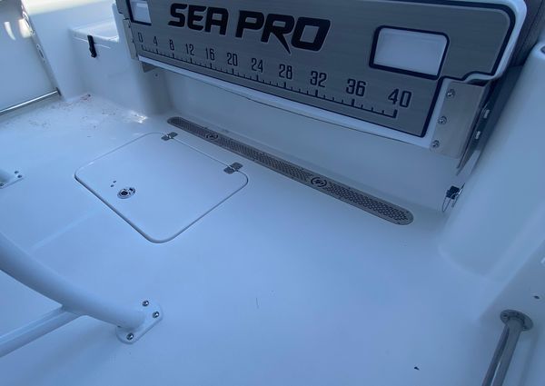 Sea-pro 222-CENTER-CONSOLE image