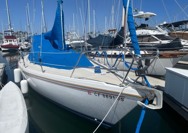 Catalina 34 image