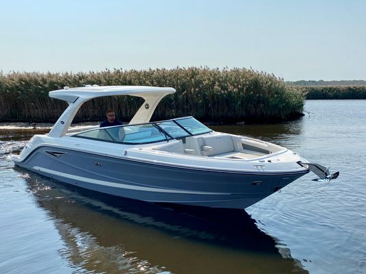 Sea Ray SLX 310 - main image
