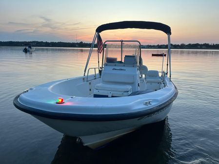 Boston-whaler DAUNTLESS-160 image