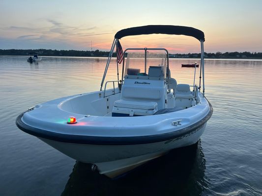 Boston-whaler DAUNTLESS-160 - main image