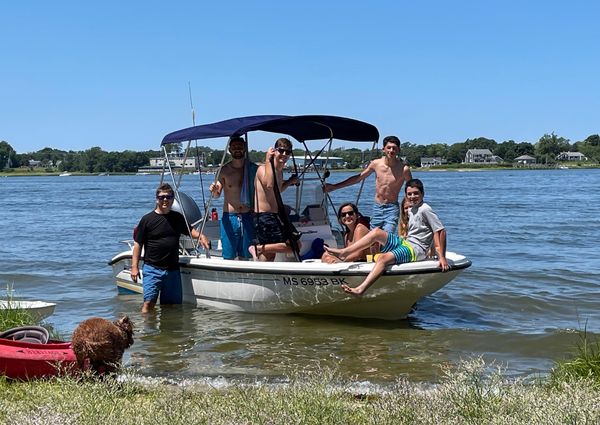 Boston-whaler DAUNTLESS-160 image