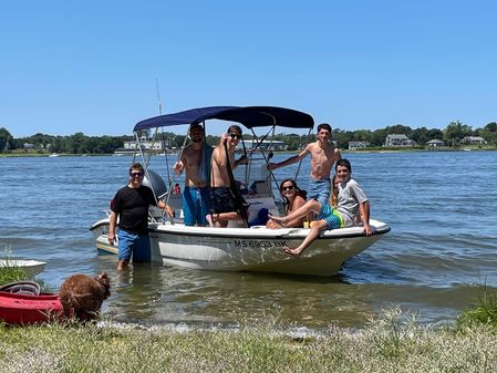 Boston-whaler DAUNTLESS-160 image