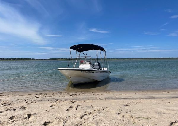 Boston-whaler DAUNTLESS-160 image