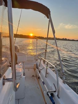 Boston-whaler DAUNTLESS-160 image