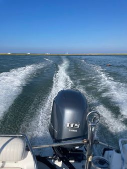 Boston-whaler DAUNTLESS-160 image