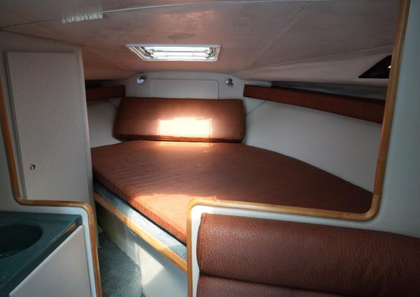 Wellcraft 3200 Martinique image