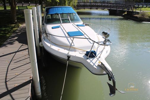 Sea Ray 270 Sundancer image