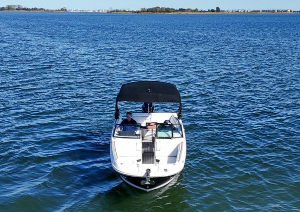 Sea Ray SDX 270 Outboard image