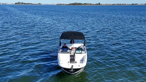 Sea Ray SDX 270 Outboard image