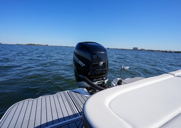 Sea Ray SDX 270 Outboard image