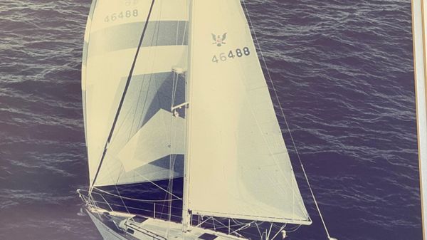 Passport 40