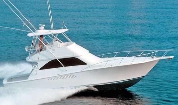 Viking 45 Convertible image