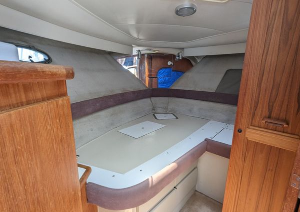 Carver 33 Aft Cabin image