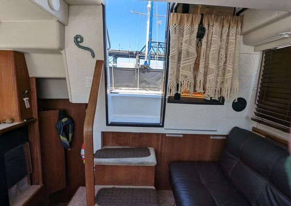 Carver 33 Aft Cabin image