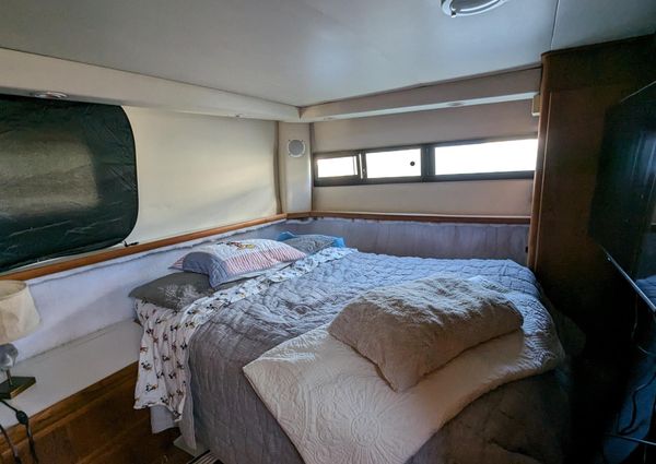 Carver 33 Aft Cabin image