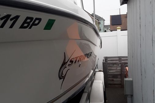 Seaswirl Striper 2301 WA image