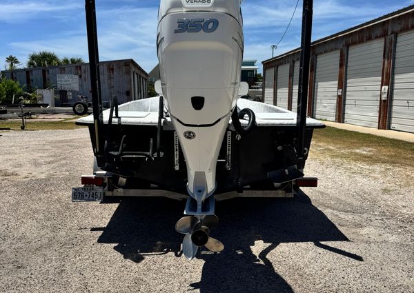 Haynie 25 Magnum image