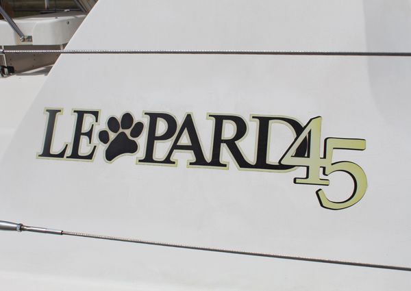 Leopard 45 image