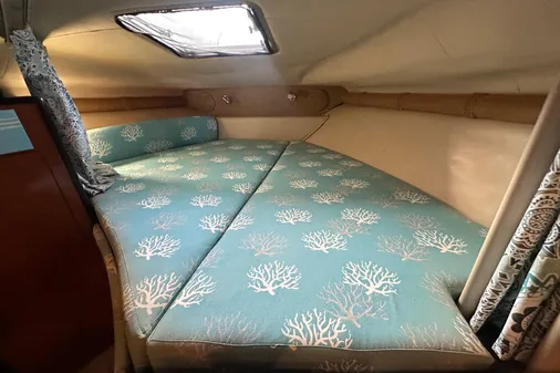 Chaparral Signature 300 image